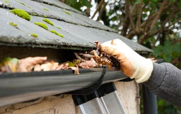 gutter cleaning Welton